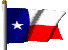 TX Texas